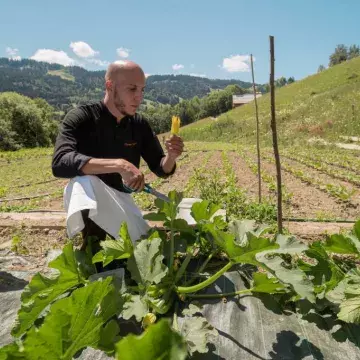 Restaurant Le Toî du Monde - Potager