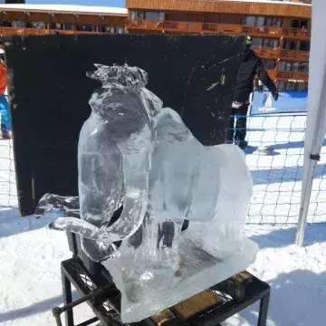 Sculpture de glace de Nicolas Gombert