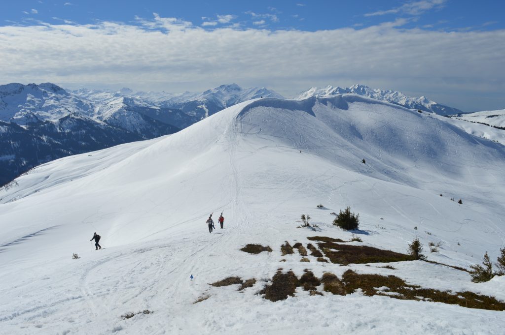 Bâche hiver NATERIAL, diam. 540 cm